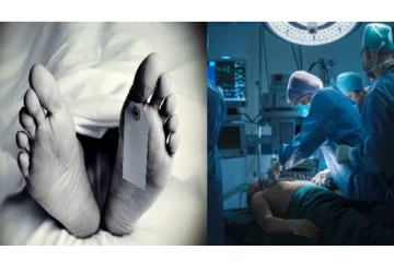 மரணத்தின் போது மூளையின் செயல்பாடு எப்படி இருக்கும்?ஆய்வு ரிப்போர்ட் இதோ..!