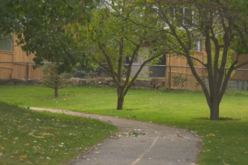 கனடாவில் ஓநாய் தாக்கி சிறுமி காயம்