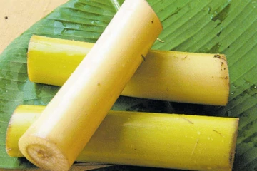 அடிக்கடி உணவில் வாழைத்தண்டை சேர்த்து கொள்வதால் இந்த மருத்துவ நன்மைகள் உண்டாகுமாம்!