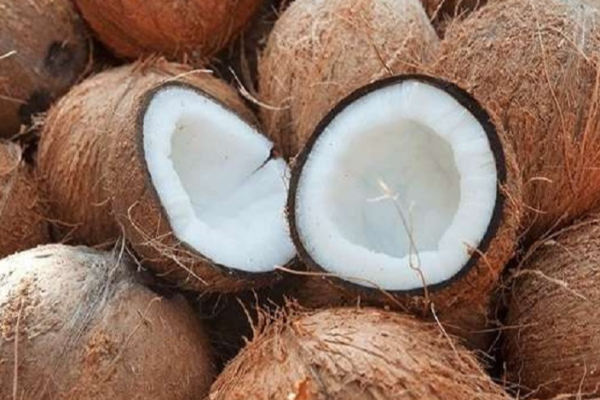 தேங்காய் விலையில் ஏற்பட்டுள்ள திடீர் மாற்றம் | Coconut Price High In Sri Lanka