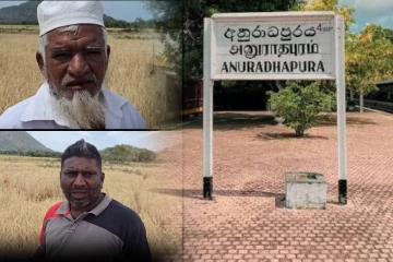 அறுவடைக்கு ஒரு மாதமே உள்ள நிலையில் நீர் இன்றி கருகிய 25 ஏக்கர் நெற்பயிர்கள்