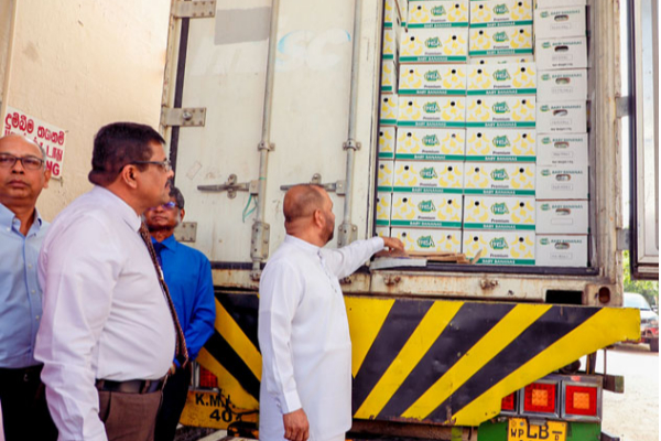 இலங்கையை மீள எழுப்ப போகும் வாழைப்பழம்..! | Bananas Export Earn Dollars Sri Lanka இலங்கையை மீள எழுப்ப போகும் வாழைப்பழம்..! | Bananas Export Earn Dollars Sri Lanka