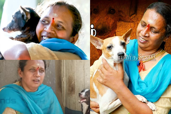 எனக்கு 35 குழந்தைகள்! நாயின் மீது பாசத்தை பொழியும் அன்னை | Dog Woman In Chennai