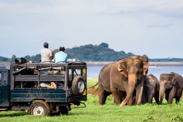 வெளிநாட்டு சுற்றுலா பயணிகள் இருவருக்கு நேர்ந்த அச்ச நிலை!