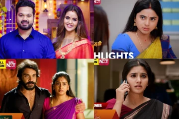 முடிவுக்கு வரும் சன் டிவியின் பிளாக்பஸ்டர் சீரியல்.. ரசிகர்கள் வருத்தம்