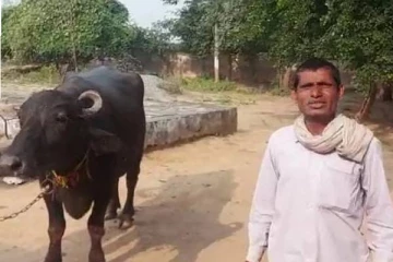 “என் மாடு பால் கறக்க மாட்டிங்குது” - போலீசில் புகார் அளித்த விவசாயி