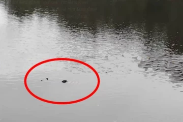 நீர்த்தேக்கத்திலிருந்து சடலமாக மீட்கப்பட்ட அடையாளம் தெரியாத ஆண்!