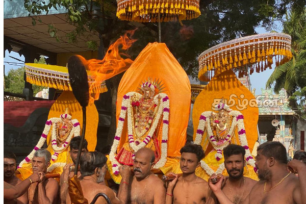தமிழர் பகுதிகளில் சிறப்பாக இடம்பெற்ற வருடாந்த தேர்த்திருவிழா(Video) | Tamil Temples In Srilanka