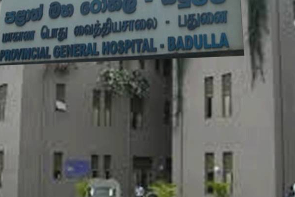 பதுளையில் துயரச் சம்பவம்: பெண் தொழிலாளிக்கு நேர்ந்த பரிதாபம்! | Woman Worker Died After Bitten By A Snake Passara