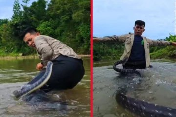 viral video: சேட்டை செய்த நபரை விரட்டி விரட்டி கடித்த பாம்பு... பதரவைக்கும் காட்சி