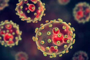 ලාසා මාරාන්තික වෛරසයත් හිස ඔසවයි - ආසාදිතයින් 105ක් හමු වෙයි..