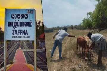 யாழில் கால்நடைகளை வளர்ப்போரின் கவனத்திற்கு ; விடுக்கப்பட்டுள்ள எச்சரிக்கை