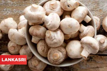 கடுமையான ஆபத்துக்களை ஏற்படுத்தும் காளான்! இது தெரிஞ்சா இனி சாப்பிடவே மாட்டீங்க