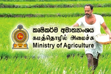 இலவசமாக வழங்கப்படவுள்ள உர கையிருப்பு: அதிருப்தி அளிக்கும் அதிகாரிகளின் செயல்