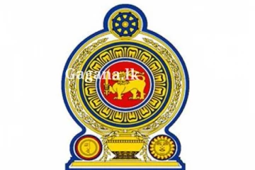 4672 කට පත්වීම් - රාජ්ය සේවයේ පුරප්පාඩු රැසක්.. ඒ වෙනුවෙන් කරන්න යන දේ ගැන ඇමති කියයි..