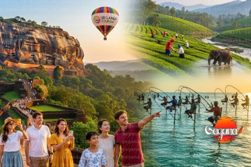 ඉතිහාසයේ ‘හොඳම ජනවාරිය මේ අවුරුද්දේ.. මෙන්න හේතුව