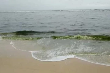 மாத்தறையில் நிறமாறும் கடல் நீர்-கடலில் இறங்க அஞ்சும் மக்கள்