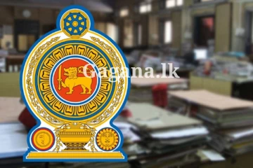 රාජ්‍ය සේවකයින් ගැන රජය එකවරම තීරණයකට යයි - හැබැයි මෙන්න මෙහෙමයි..