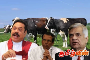 பாரிய மோசடியில் சிக்கப்போகும் முன்னாள் ஜனாதிபதிகள்