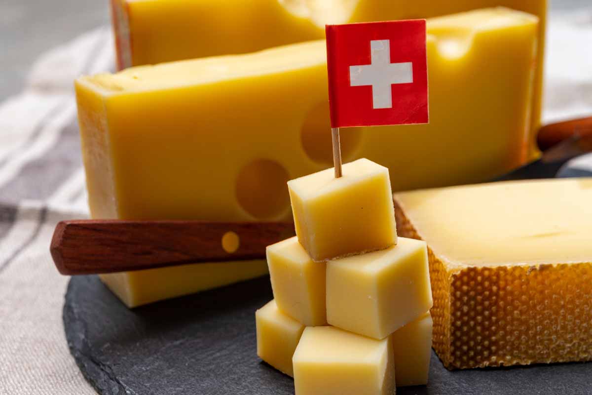 ஆண்டுக்கு 200,000 டன்... சுவிஸ் நாட்டவர்கள் சாப்பிடும் சீஸின் அளவு | Swiss Ate More Cheese Last Year