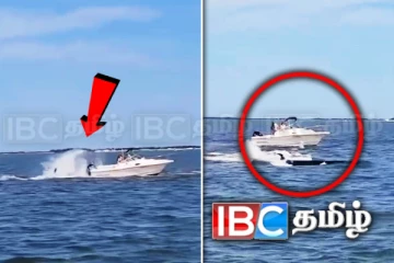 படகில் மோதி துடித்துடித்து பலியான திமிங்கலம்: தீயாய் பரவும் காணொளி!