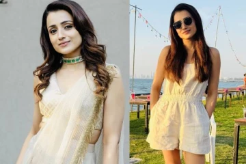 நாய்களுக்கு உங்களை பிடிக்கவில்லை என்றால்...நடிகை திரிஷா காட்டம்..