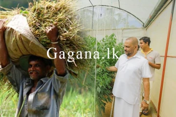 කෘෂි ඇමතිට ගොවීන් හොඳ එකෙන් අමතයි. - (VIDEO)