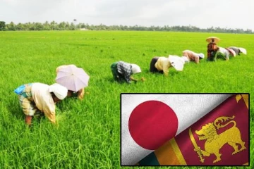 வடக்கு விவசாயிகளுக்கு நன்கொடை திட்டம்: உதவிக்கரம் நீட்டிய ஜப்பான்