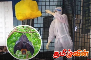 ஆசிய நாடுகளில் பரவும் நிபா வைரஸ் - ஆபத்து தொடர்பில் இலங்கைக்கு எச்சரிக்கை