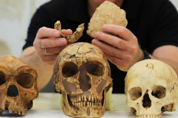 புதிய மனித இனம் கண்டுபிடிப்பு! இஸ்ரேல் ஆய்வாளர்கள் தகவல்