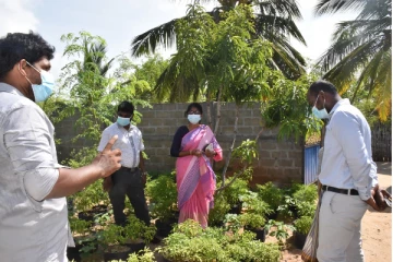 பயிர்ச்செய்கையை நேரில் சென்று பார்வையிட்ட மன்னார் மாவட்ட அரசாங்க அதிபர்