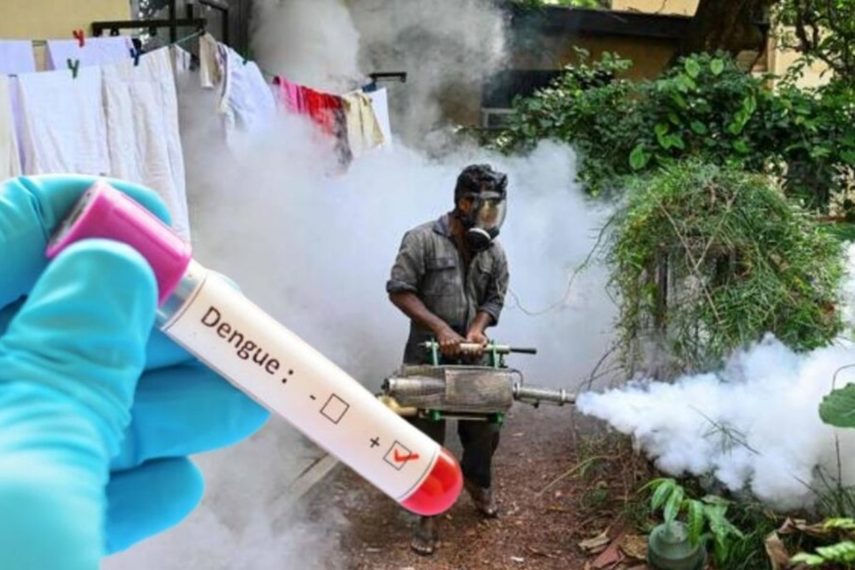 இலங்கையில் டெங்கு நோயாளிகளின் எண்ணிக்கை அதிகரிப்பு | Increase In The Number Of Dengue Patients