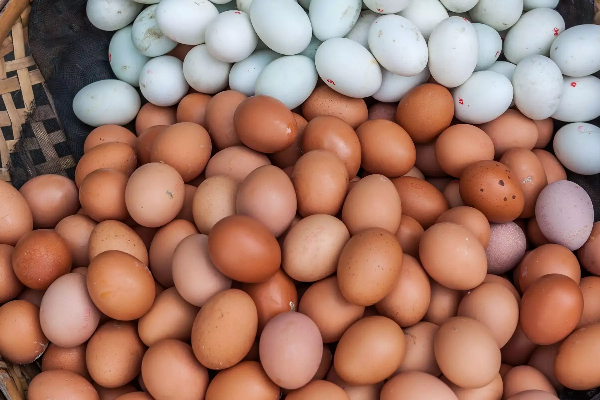இந்தியாவின் முட்டை வேண்டாம்; இலங்கை அதிரடி! | Don T Want India S Eggs Sri Lanka Action