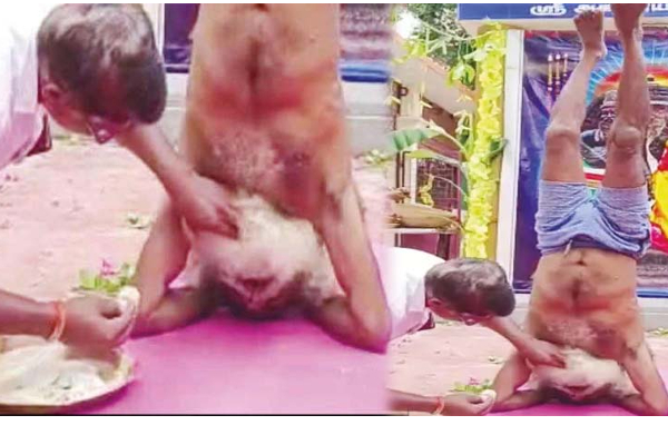 தலைகீழாக நின்று இட்லி சாப்பிடும் முதியவர்! எதற்காக இந்த முடிவு தெரியுமா? | Old Man Eat Idly While Sirsasana