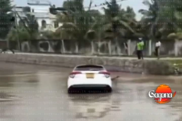 මෝටර් රථයක් ඇළකට වැටී 03ක් මරුට