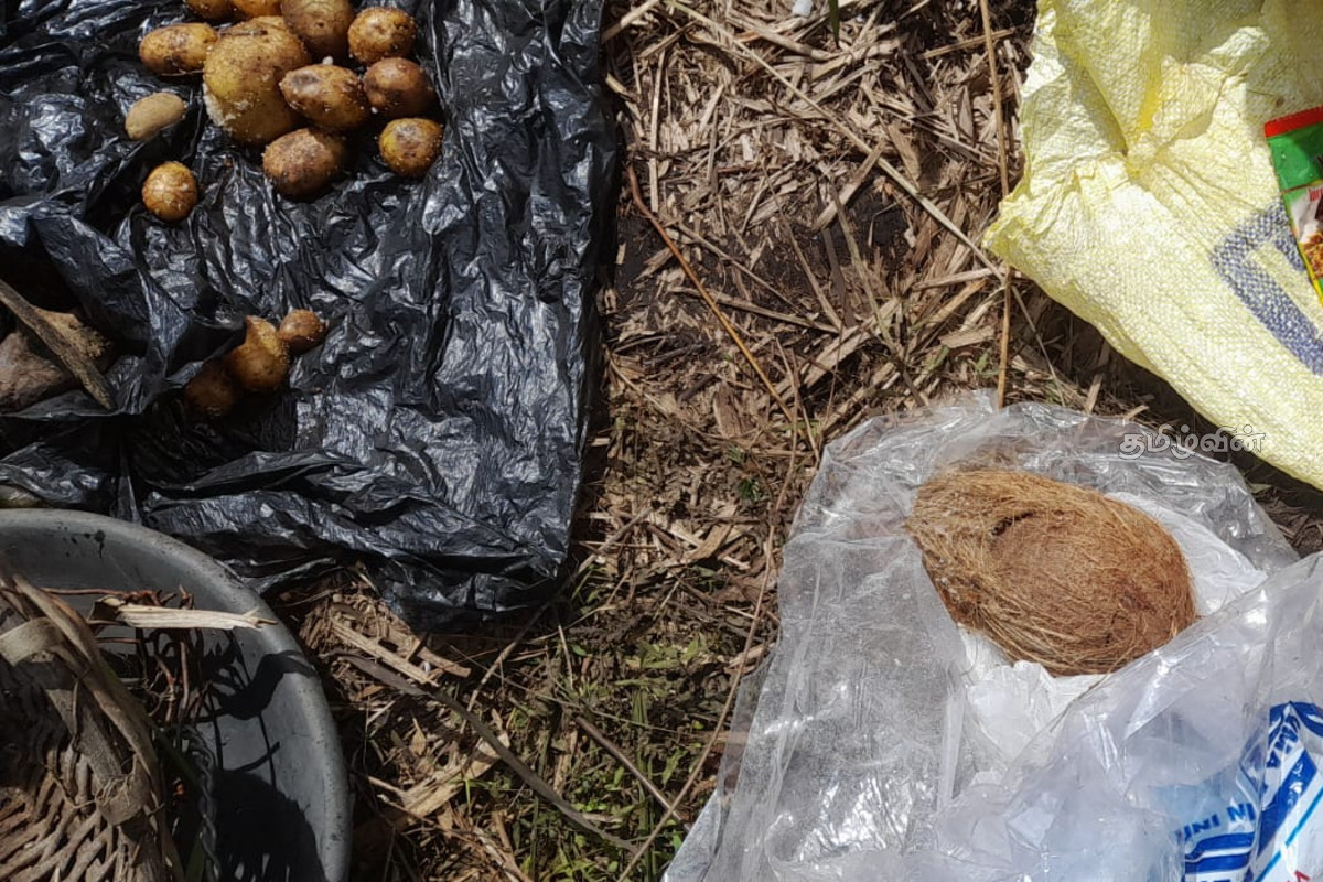 சட்டவிரோதமாக மாணிக்கக்கல் அகழ்வில் ஈடுபட்ட5 பேர் கைது | Five People Arrested For Gemstone Mining