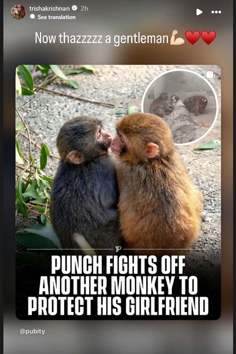 துணையை காப்பாற்றியவர் ஜென்டில்மேன்! நடிகை த்ரிஷா பதிவில் யாரை கூறினார்? | Trisha Viral Post Punch Fighting For Girlfriend