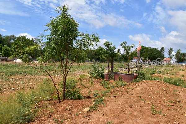 jaffna resettlement issue