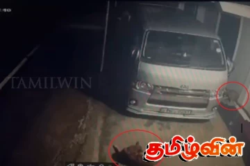 நுவரெலியாவில் தூங்கி கொண்டிருந்த நாயை வேட்டையாடிய சிறுத்தை