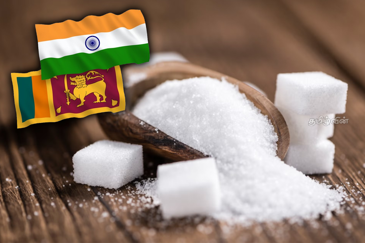 இந்தியா சீனி ஏற்றுமதிக்கு தடை: இலங்கையில் சீனி விலை அதிகரிப்பு | Sugar Price Today Sugar Export From India