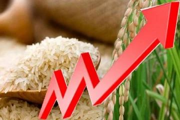 வர்த்தமானி அறிவித்தல்களை வெளியிடுவதில் பயனில்லை - மஹிந்த அமரவீர