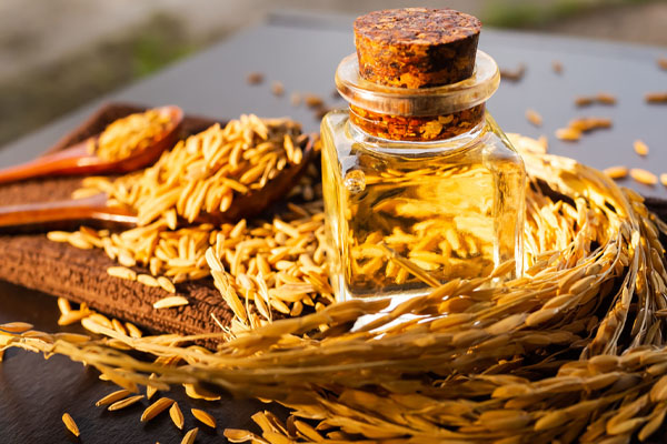 எண்ணெய் இதயத்தை நீண்ட காலம் இளமையாக வைத்திருக்குமா? | Oil That Keeps The Heart Young For A Long Time