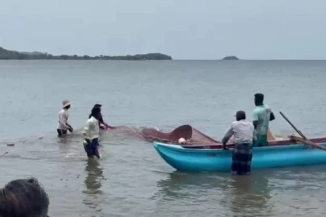 இலங்கை கடற்பரப்பில் சிக்கிய 5000 கிலோகிராம் எடையுடைய சுறா மீன் (Video)