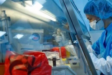 7.2ஐ கடந்துள்ள கோவிட் - 19 தொற்று வீதம்