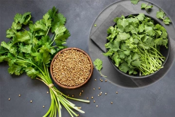 கொத்தமல்லி இலையில் இவ்வளவு நன்மைகளா? தெரிந்தால் தூக்கிப் போட மாட்டீங்க