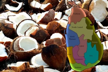 தேங்காய்களை அதிகம் விரயம் செய்யும் நாடுகளில் இலங்கை முதலிடம்