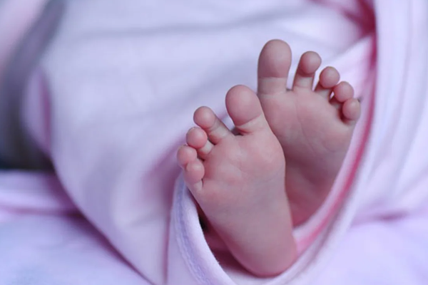யாழில் பிறந்து 4 நாட்களேயான ஆண் குழந்தை பரிதாபமாக உயரிழப்பு! | 4 Day Old Baby Boy Passed Away In Jaffna