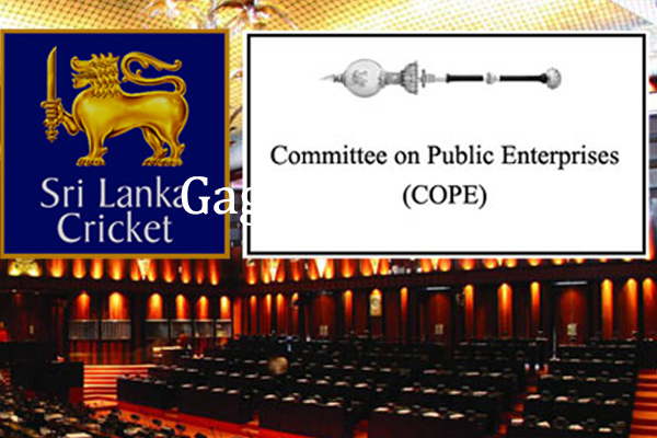 කෝප් කමිටු රැස්වීම අත්හිටුවයි. | The Cope Committee Adjourns The Meeting