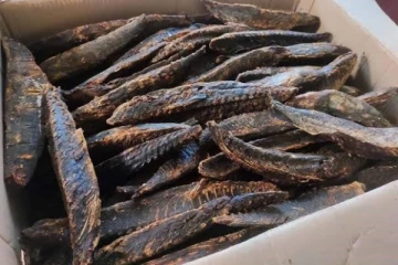 மாசி கருவாடுக்குள் சிக்கிய மர்மம்; அதிரடியாக கைது