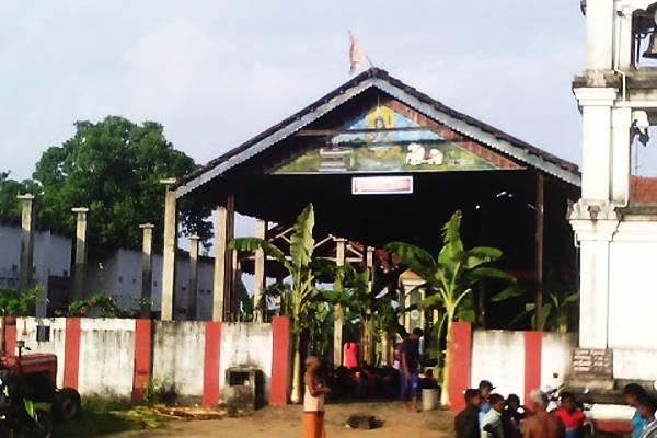 கிளிநொச்சியில் ஆலய பசுக்கள் இறைச்சிக்காக விற்பனை: கடும் குற்றச்சாட்டு | Kilinochchi Temple Cow Scandal